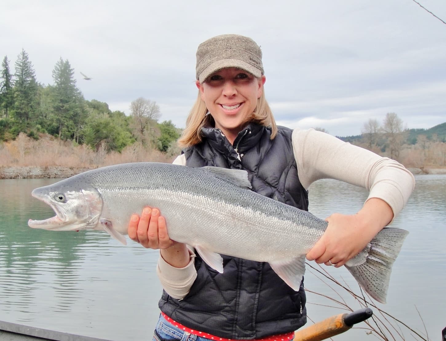 A large, chrome winter steelhead caught fishing the Chetco river, Oregon coast. 